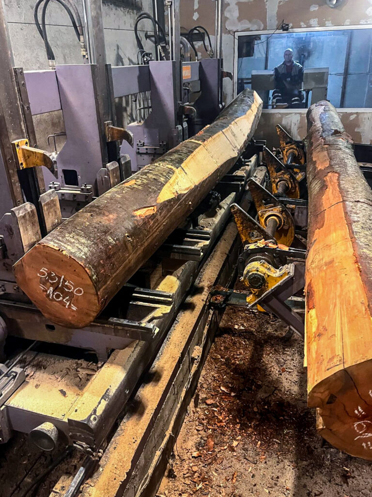 WhatsApp Image 2025-10-27 at 17.25.32