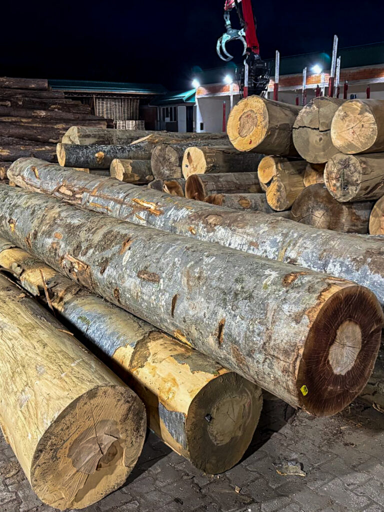 WhatsApp Image 2025-10-27 at 17.25.38