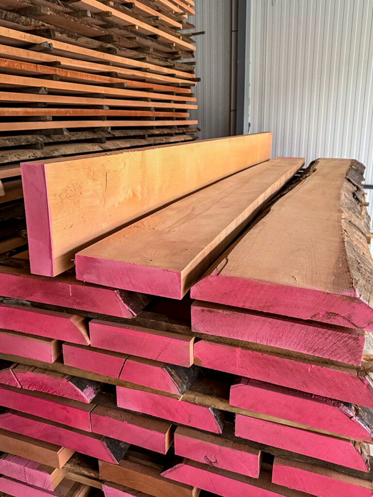 WhatsApp Image 2025-10-27 at 17.25.39