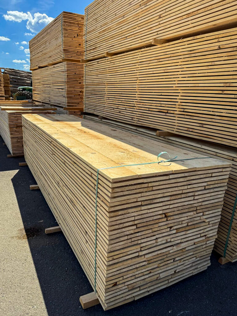 WhatsApp Image 2025-10-27 at 17.41.48