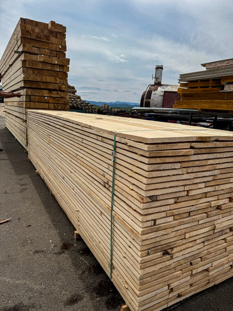 WhatsApp Image 2025-10-27 at 17.44.56