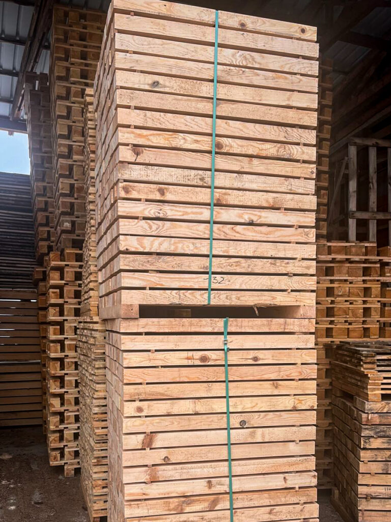 WhatsApp Image 2025-10-27 at 17.59.56