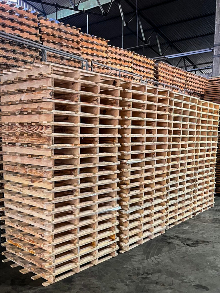 WhatsApp Image 2025-10-27 at 17.59.57 (1)