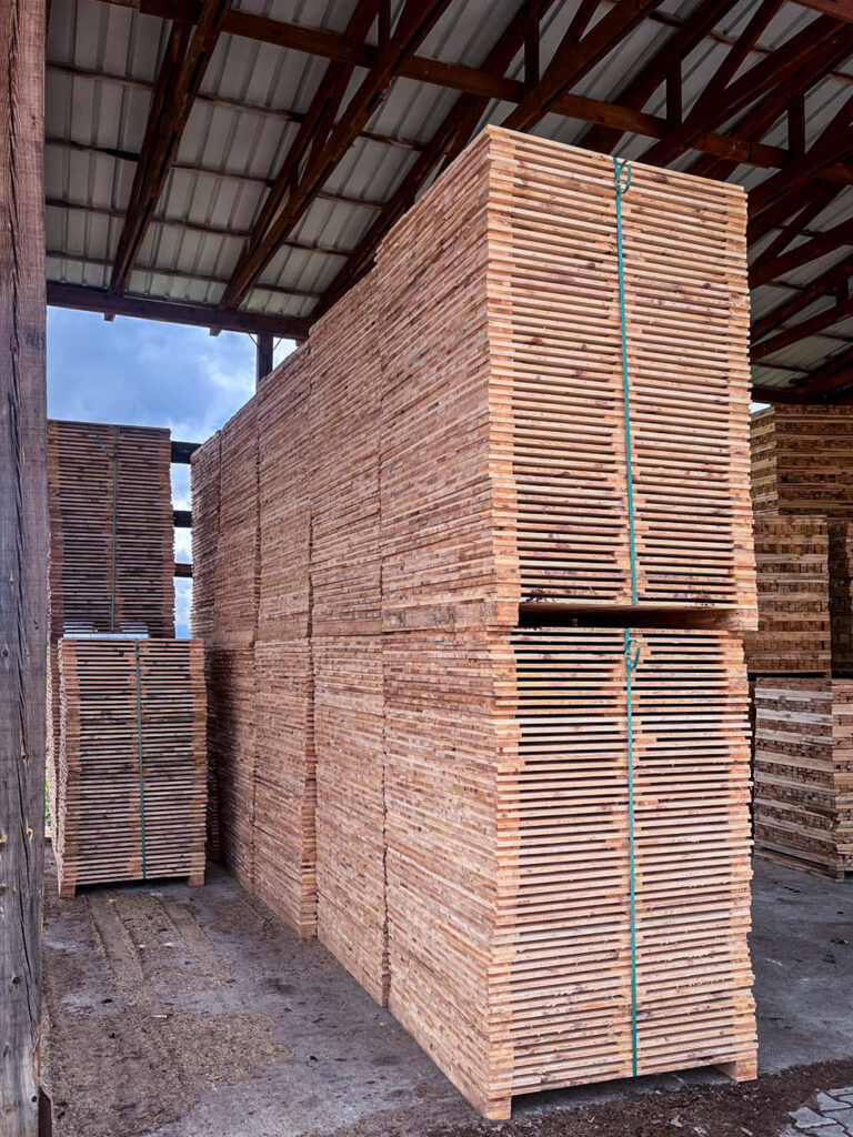 WhatsApp Image 2025-10-27 at 17.59.59 (1)